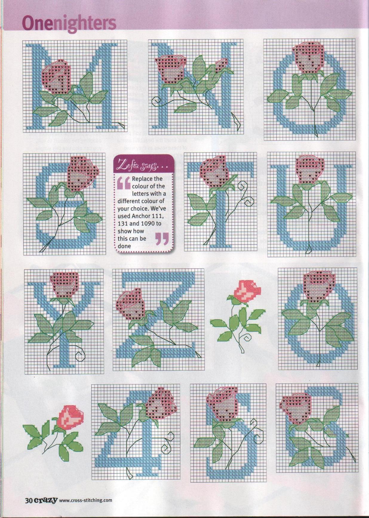 Alfabeto punto croce casa con le rose (2)