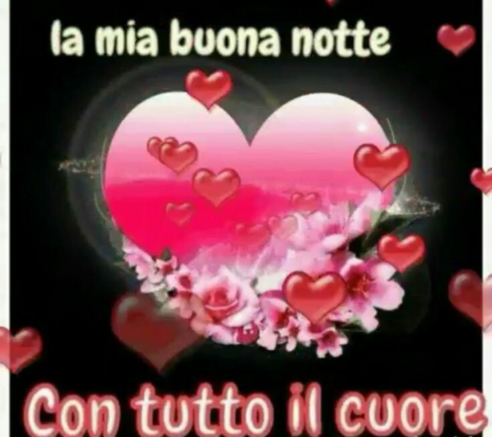 Buonanotte 1146