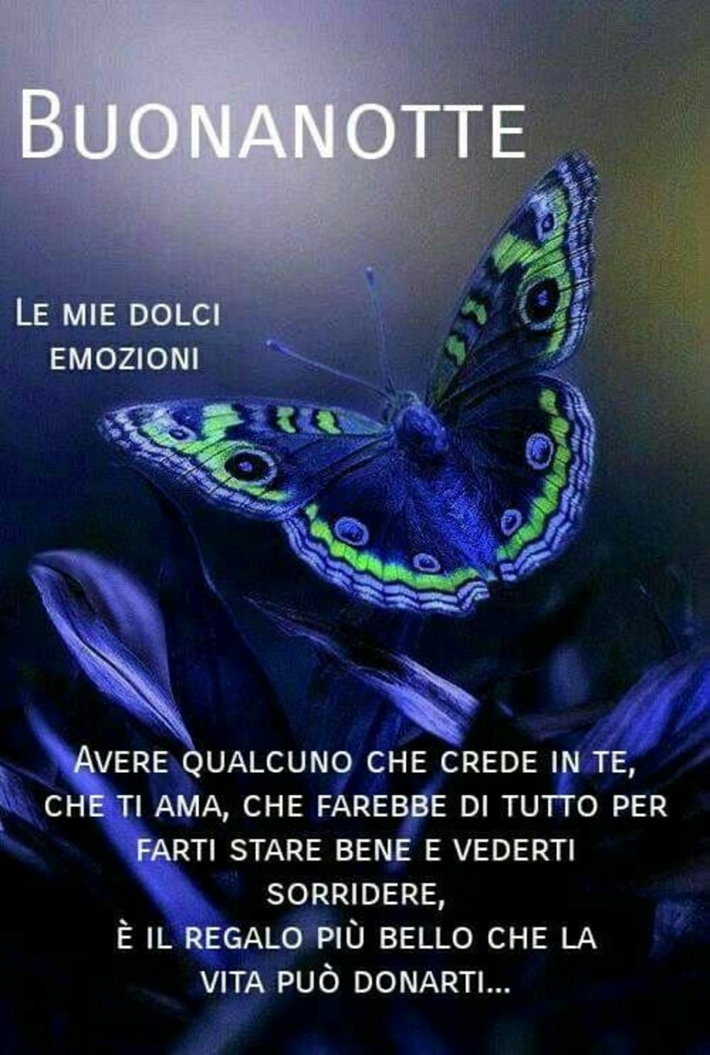 Immagini Buonanotte 2349 Buongiornissimocaffe It