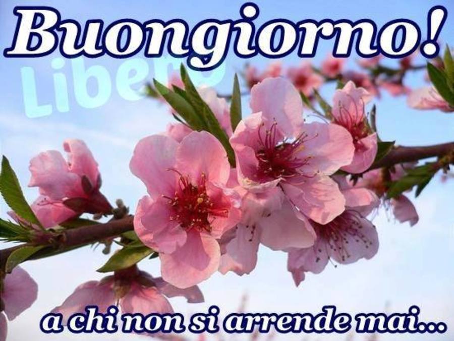 Immagini Buongiorno Da Scaricare Gratis 6707 Buongiornissimocaffe It