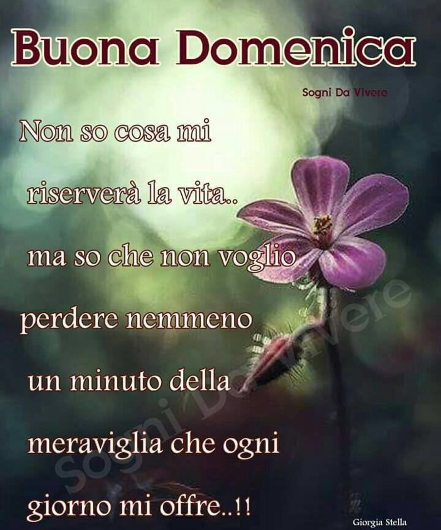 Frasi Buona Domenica 2819