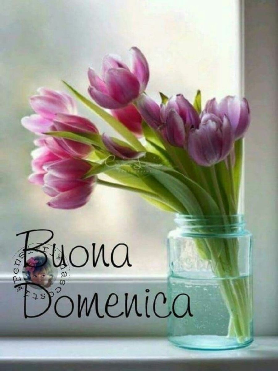 Immagini Buona Domenica 6973