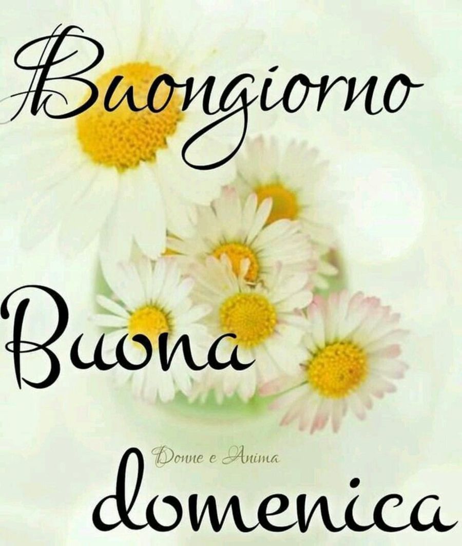 Immagini di Buona Domenica 6373