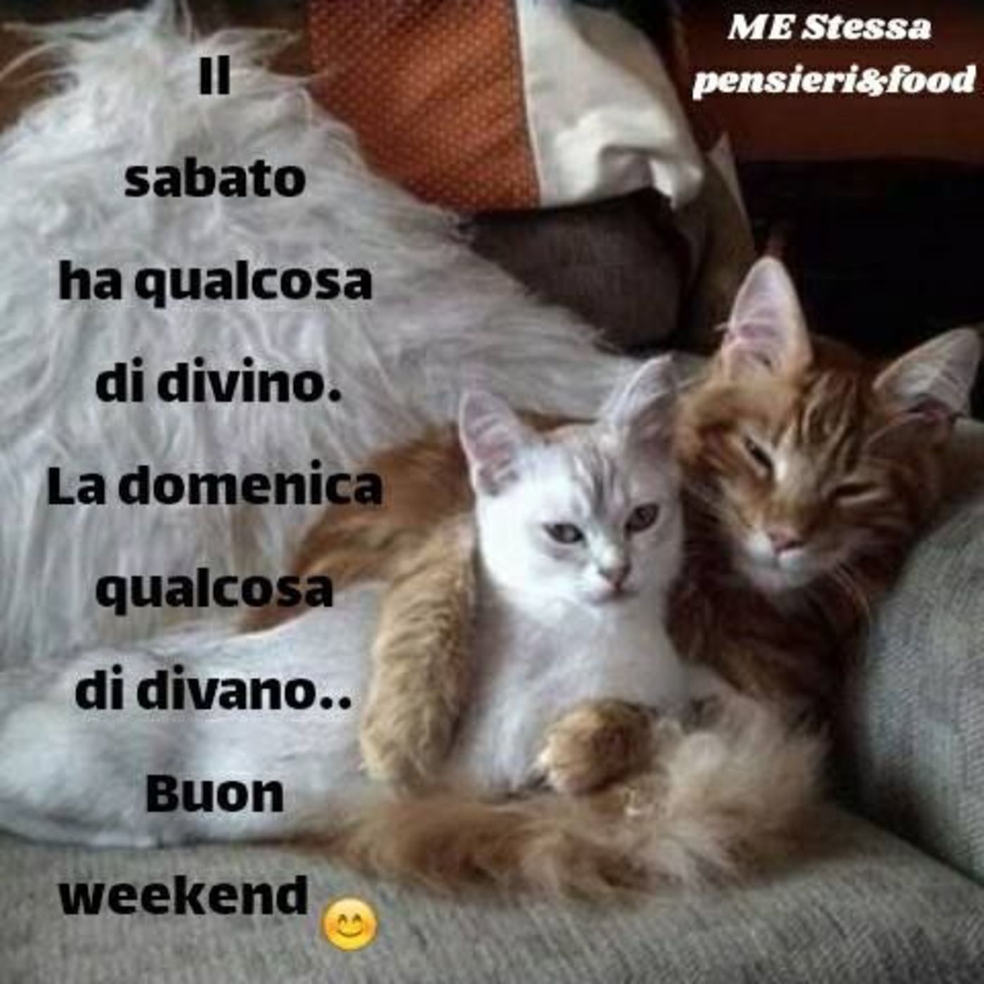 Buon Weekend Frasi Divertenti Archives Buongiornissimocaffe It