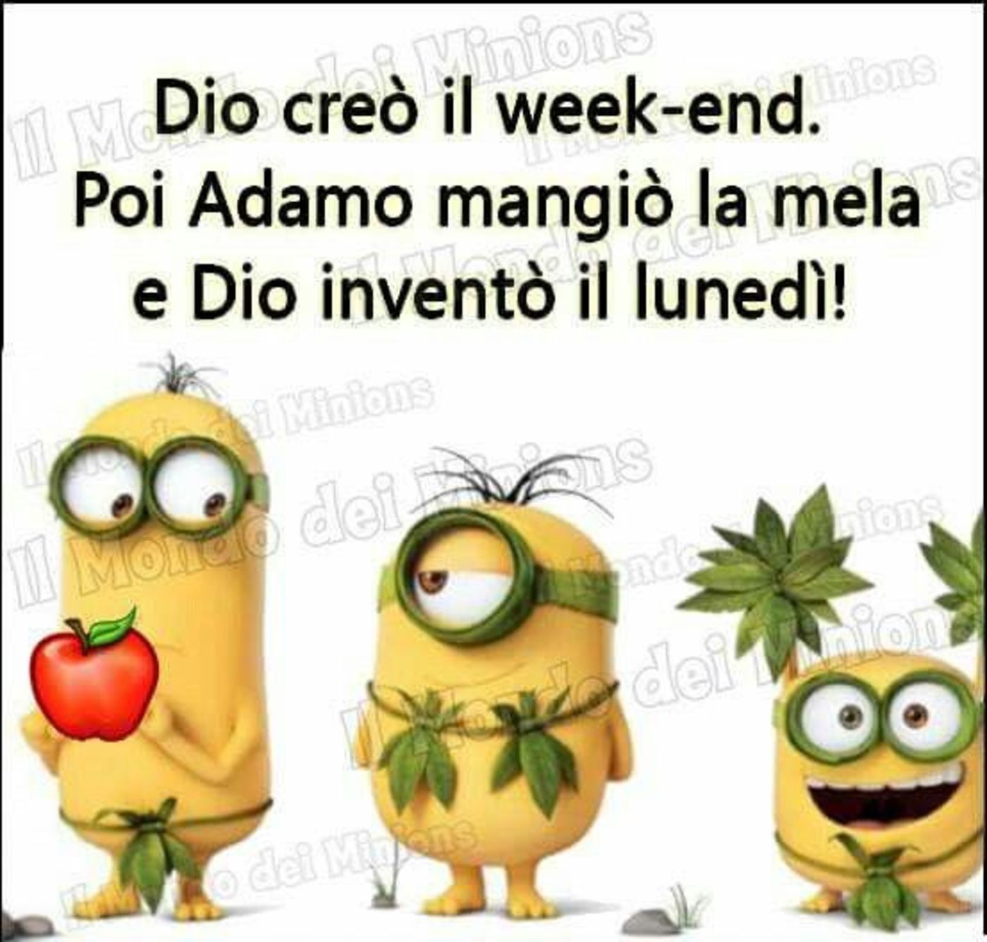 Buon Weekend immagini bellissime 3649