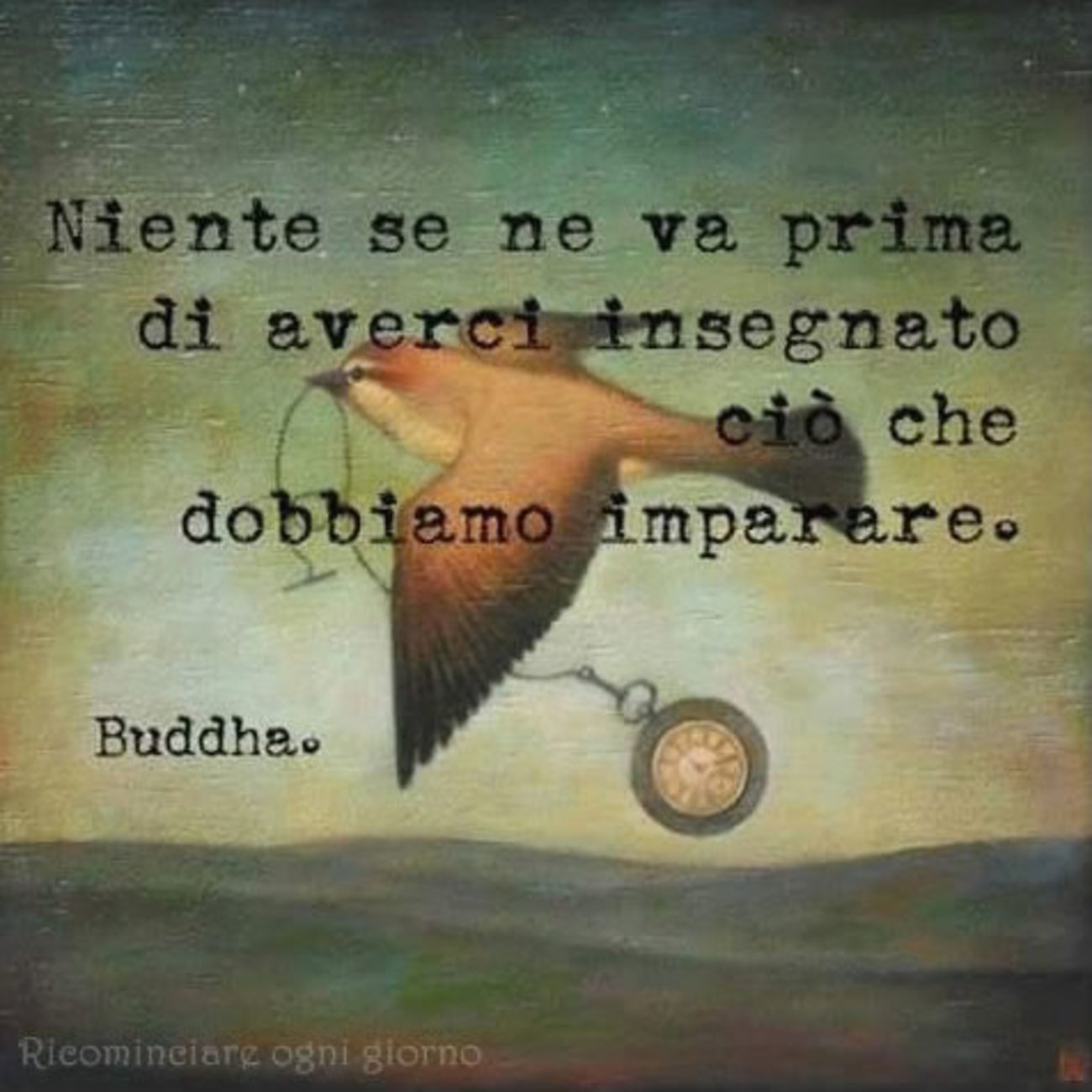 Citazioni Buddha immagini gratis