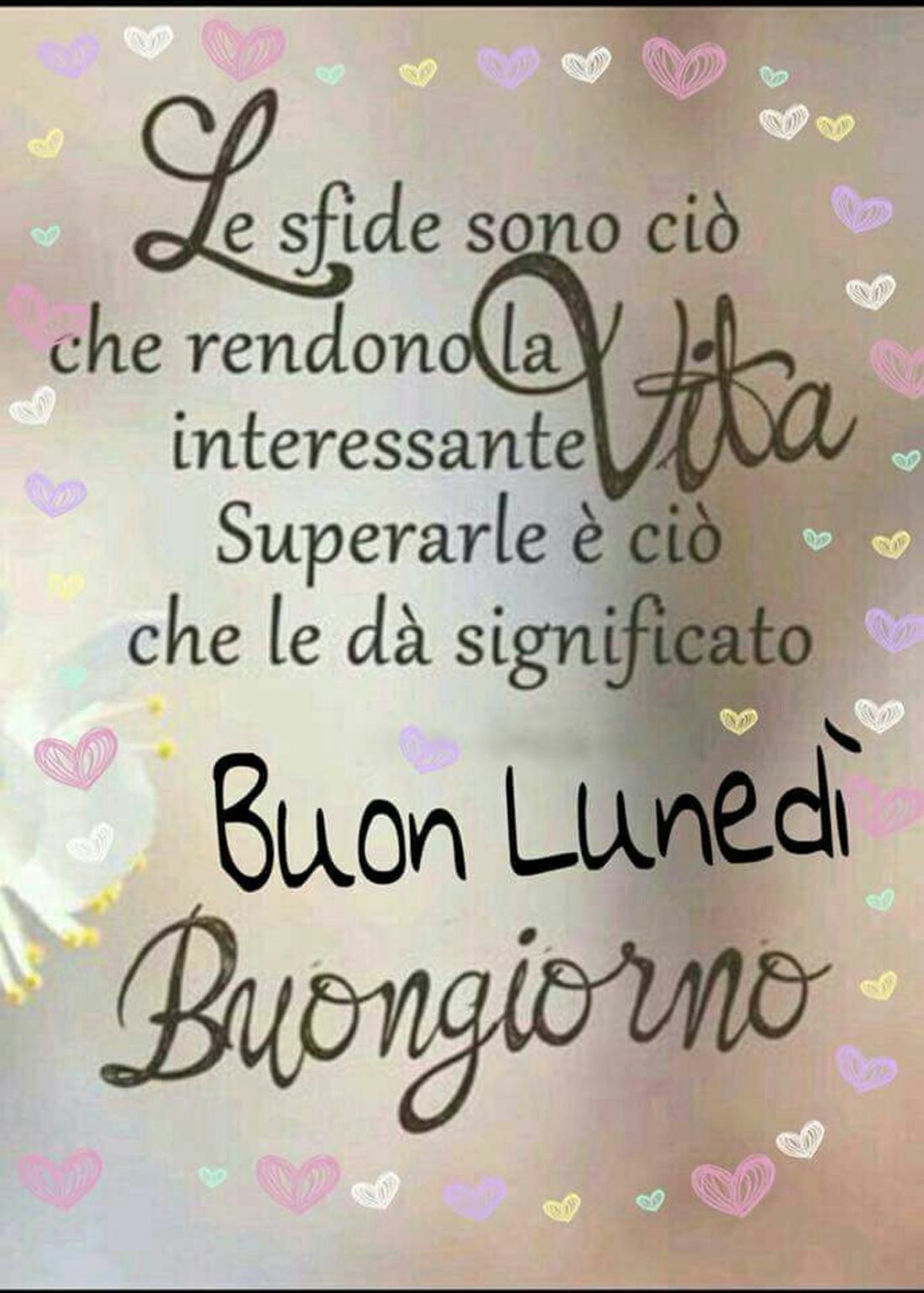 Buon Lunedì bellissime immagini 9060