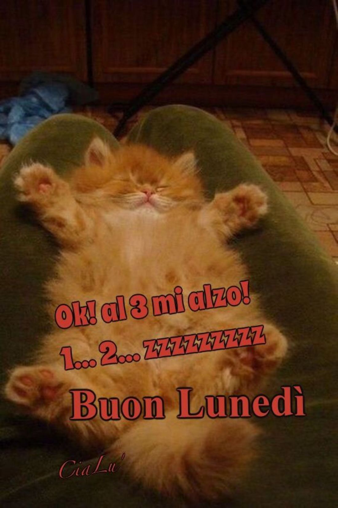Buon Lunedì bellissime immagini 9241