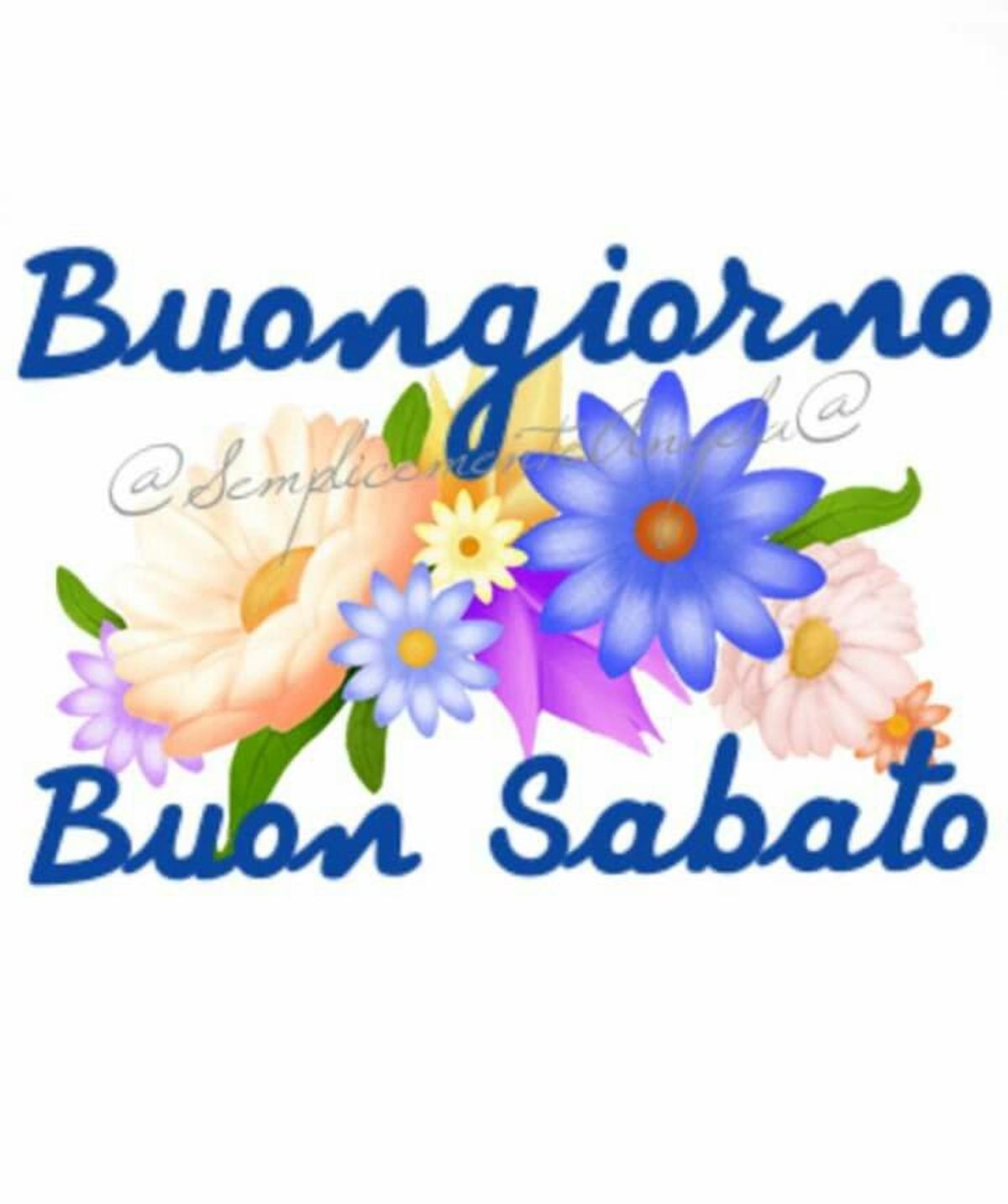 Buon Sabato Immagini Da Condividere Gratis Buongiornissimocaffe It