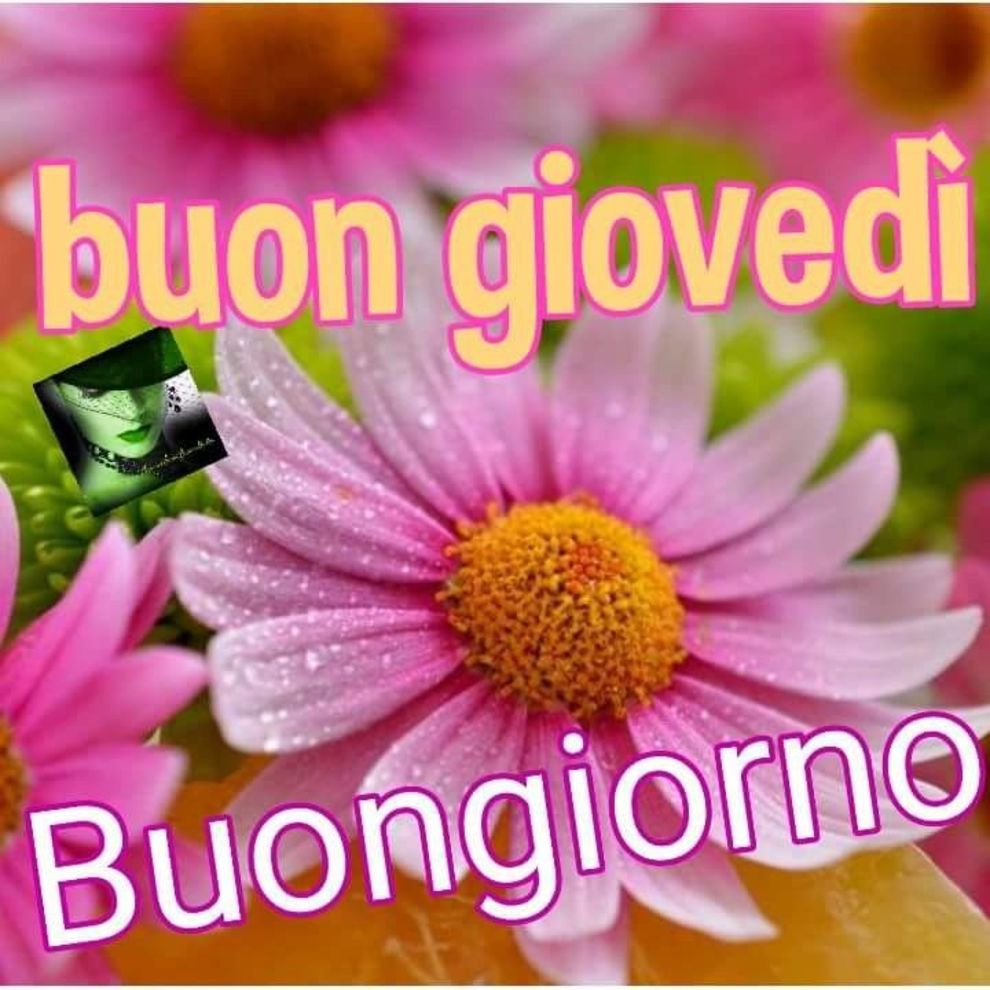 Buon Giovedì Buongiorno gif 9400
