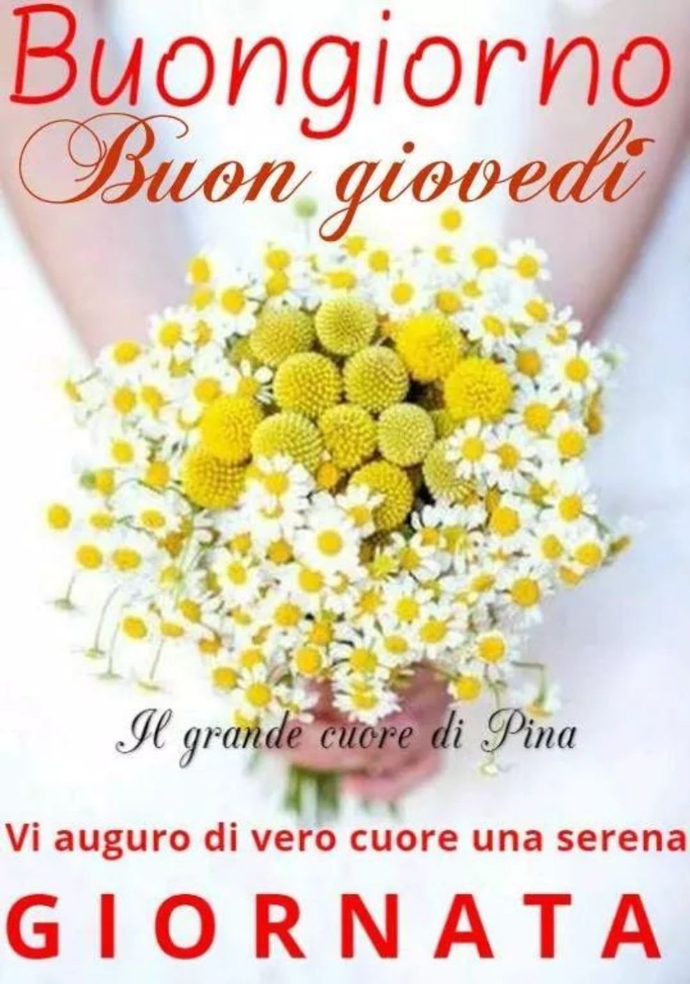 Buon Giovedì immagini da condividere gratis 3438