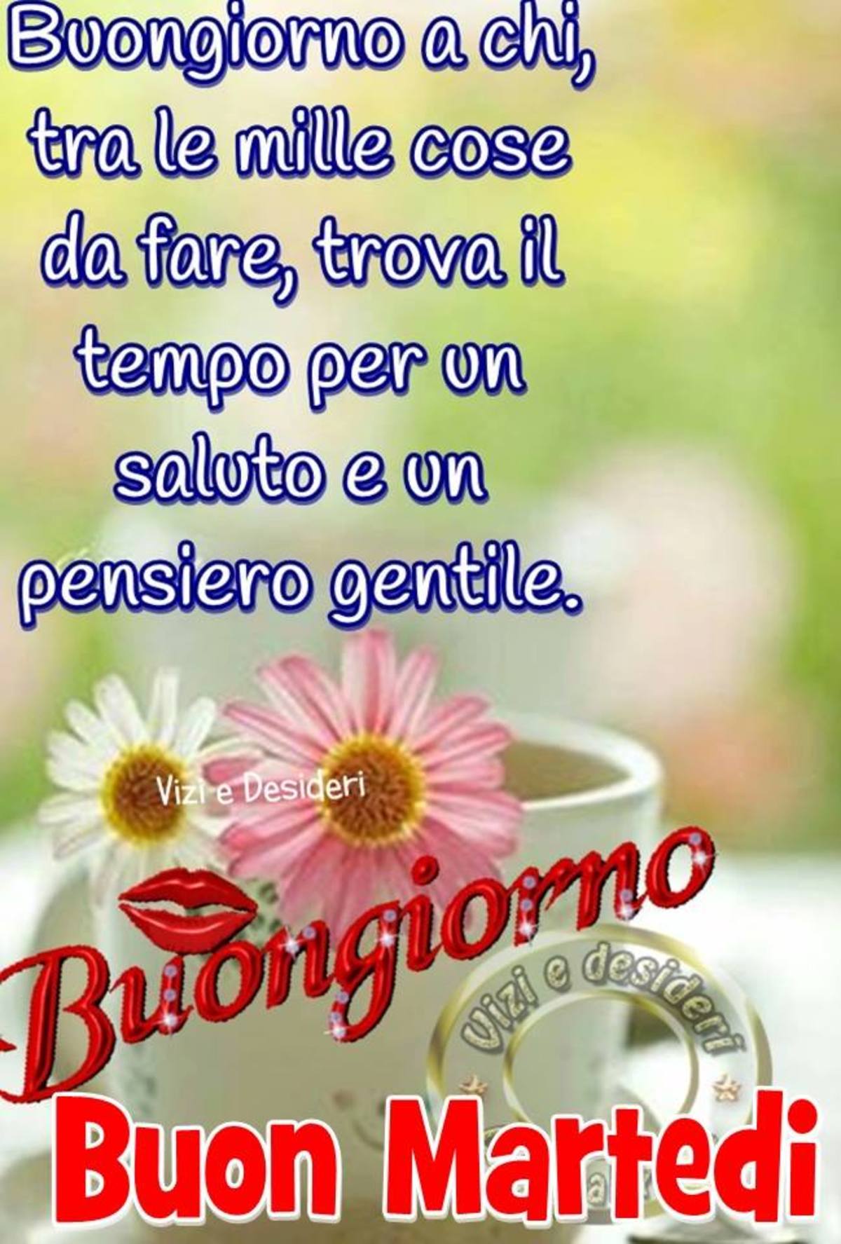 Buon Martedì amici 8289