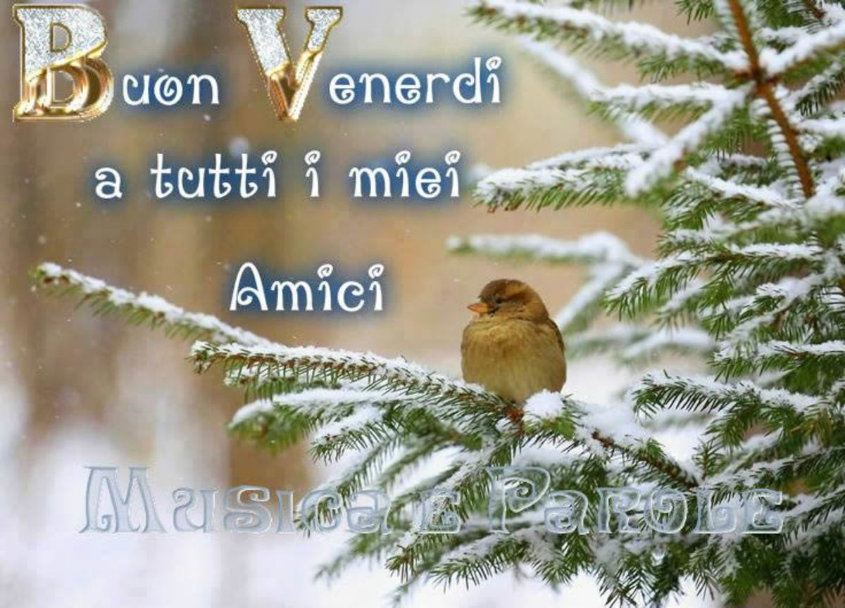 Buon Venerdi Freddo Invernale Immagini Buongiornissimocaffe It