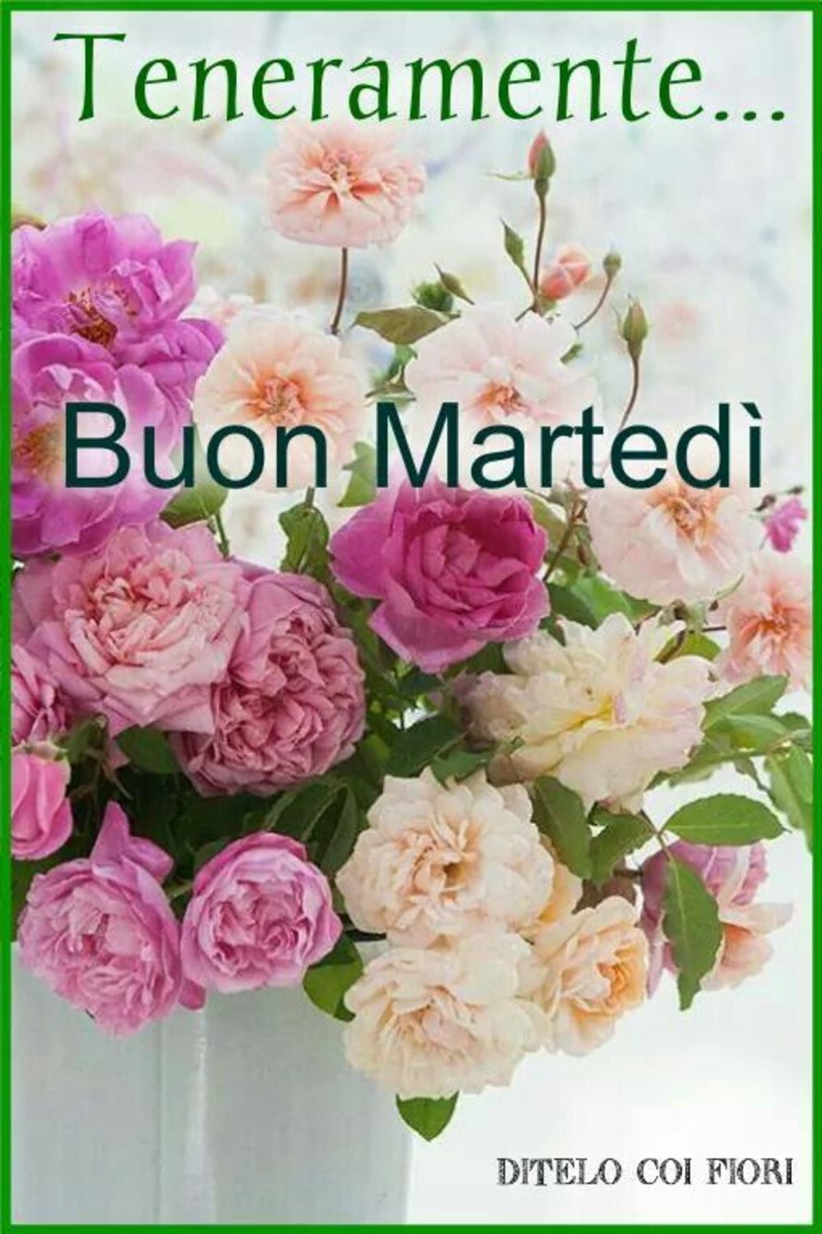 Buongiorno Buon Martedi 2879 Buongiornissimocaffe It