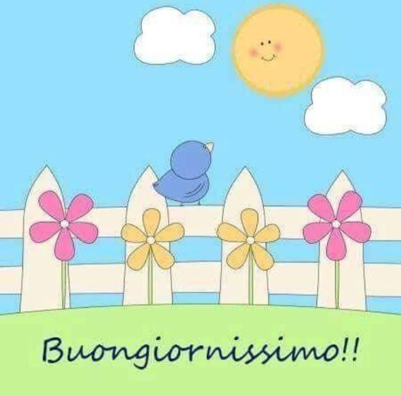 Buongiorno bella gente 6189