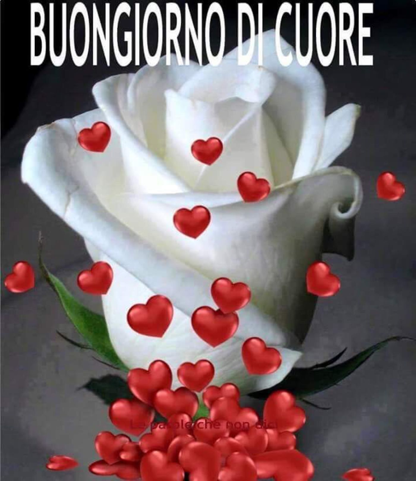 Buongiorno immagini belle e nuove 7529