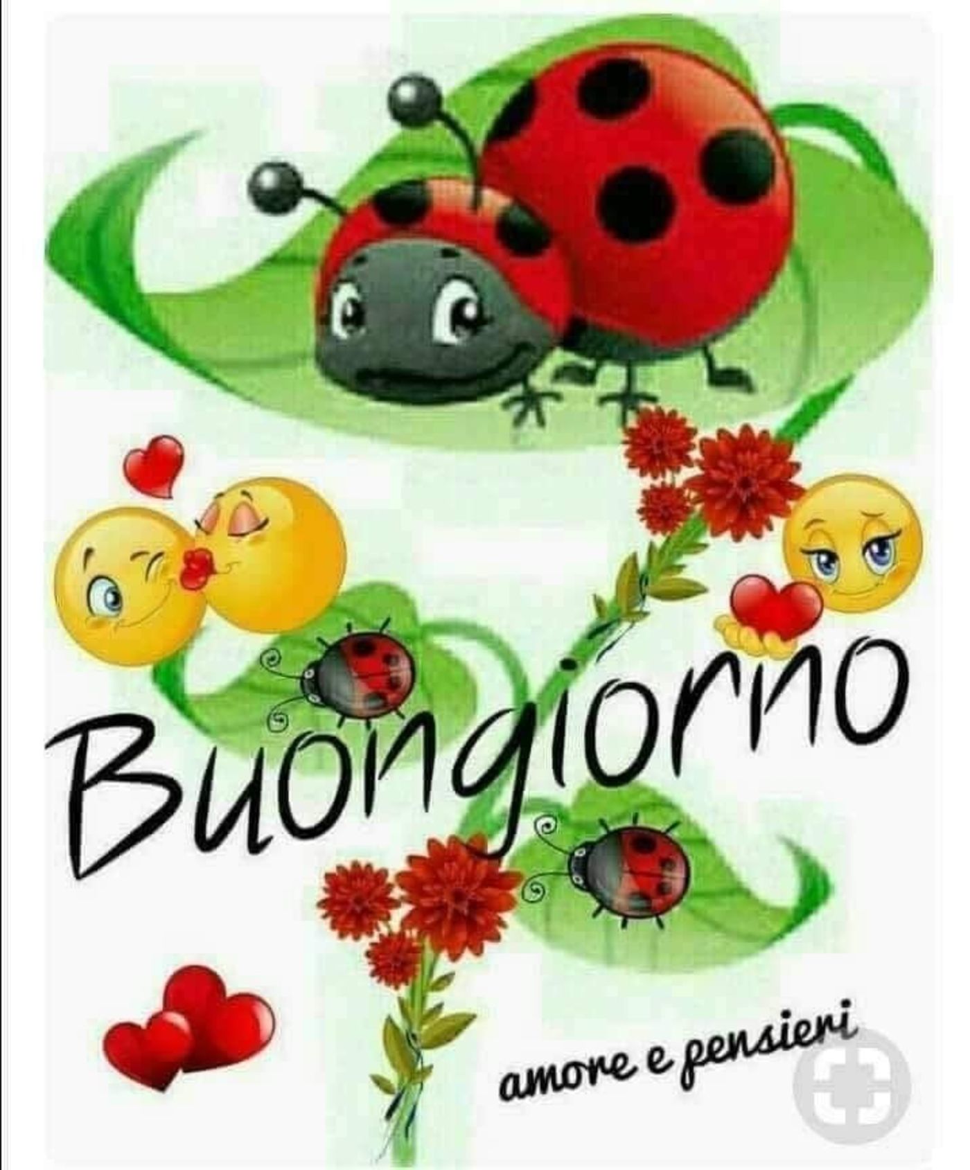 Buongiorno Immagini Con Frasi 2344 Buongiornissimocaffe It