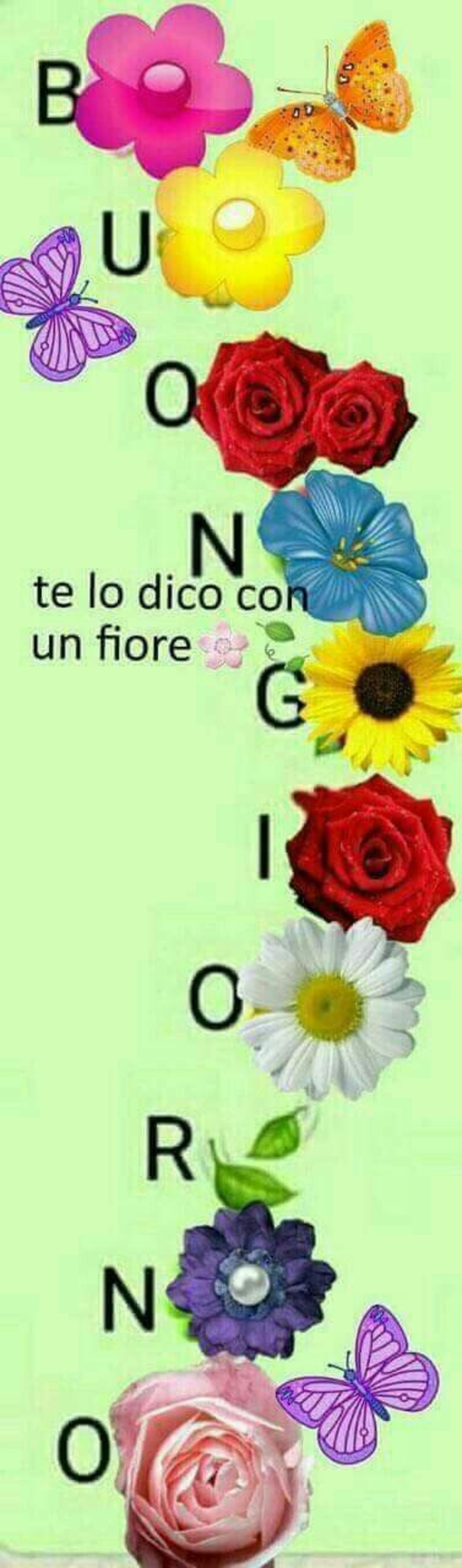 Buongiorno immagini per Facebook 6793