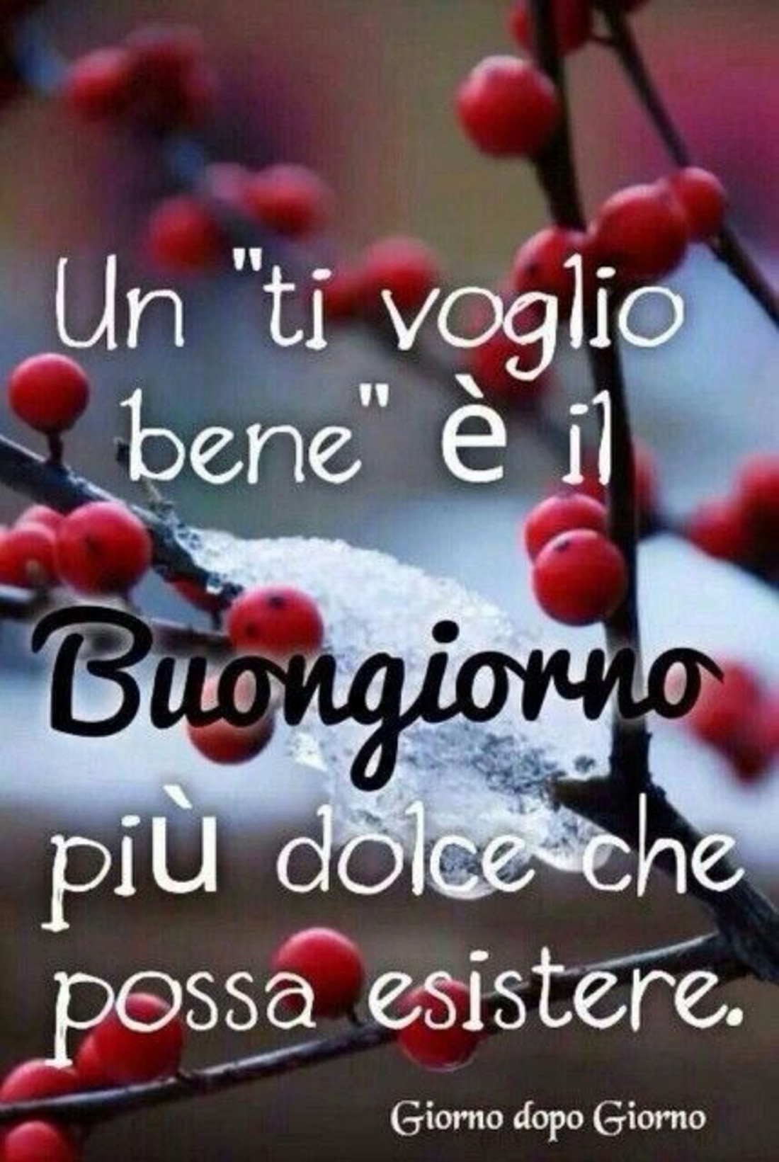 Buongiorno immagini per Facebook 6824