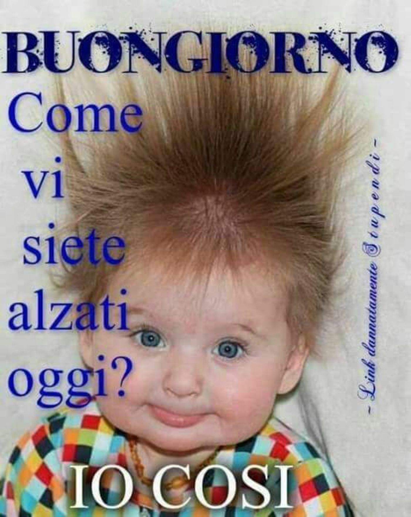 Foto per Buongiorno con i bambini 10