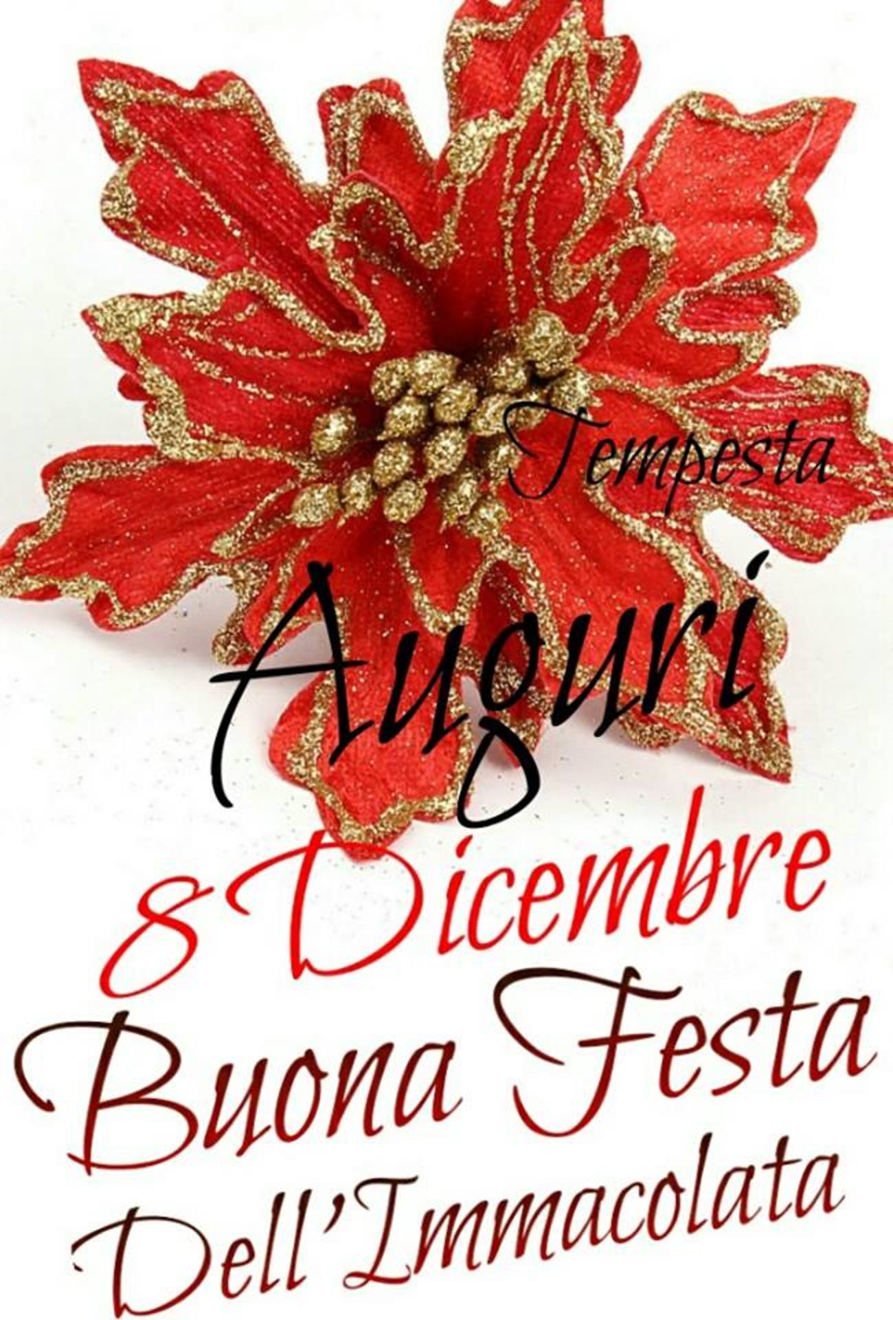 Auguri Buona Festa dell'Immacolata