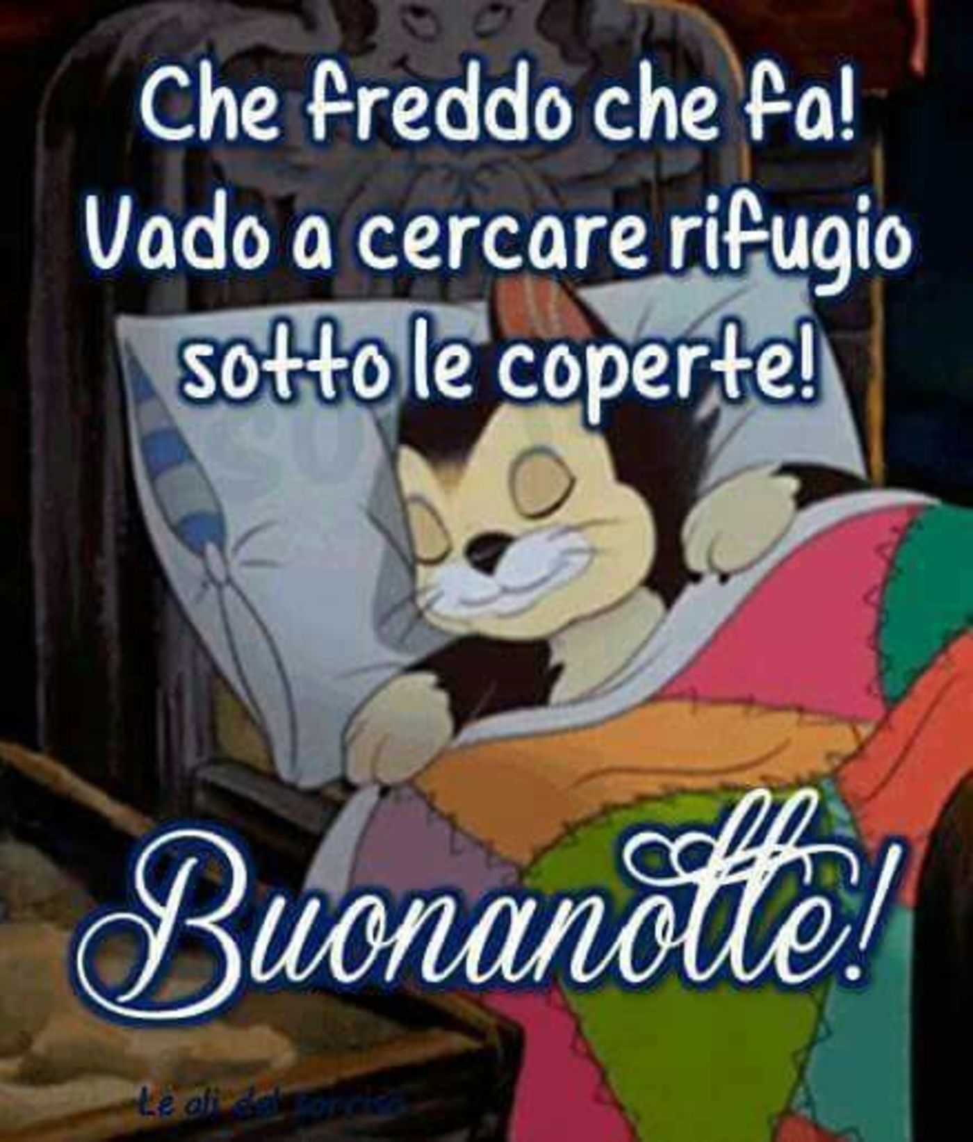 Bacionotte 3346