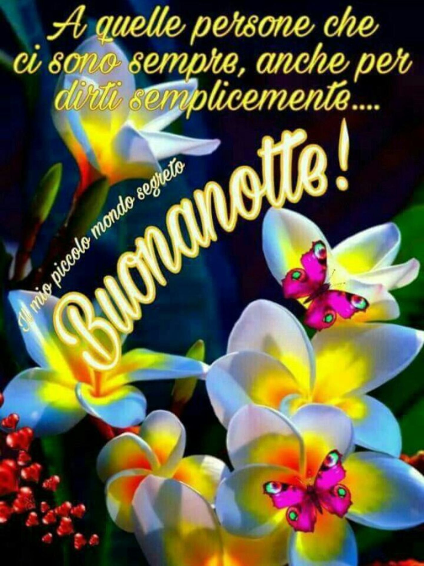 Bacionotte 3429