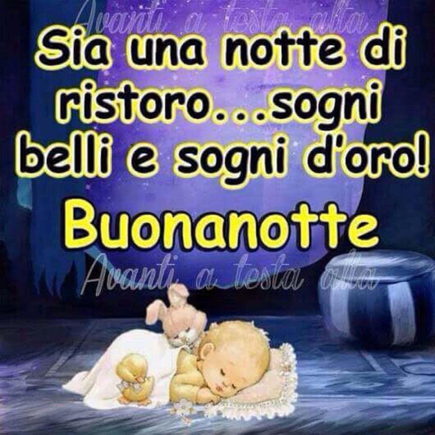 Bacionotte 3488