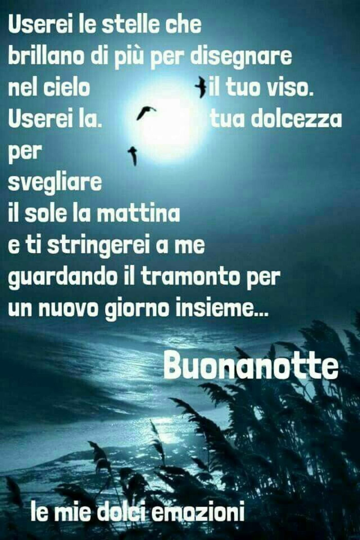 Buonanotte bacio 5684