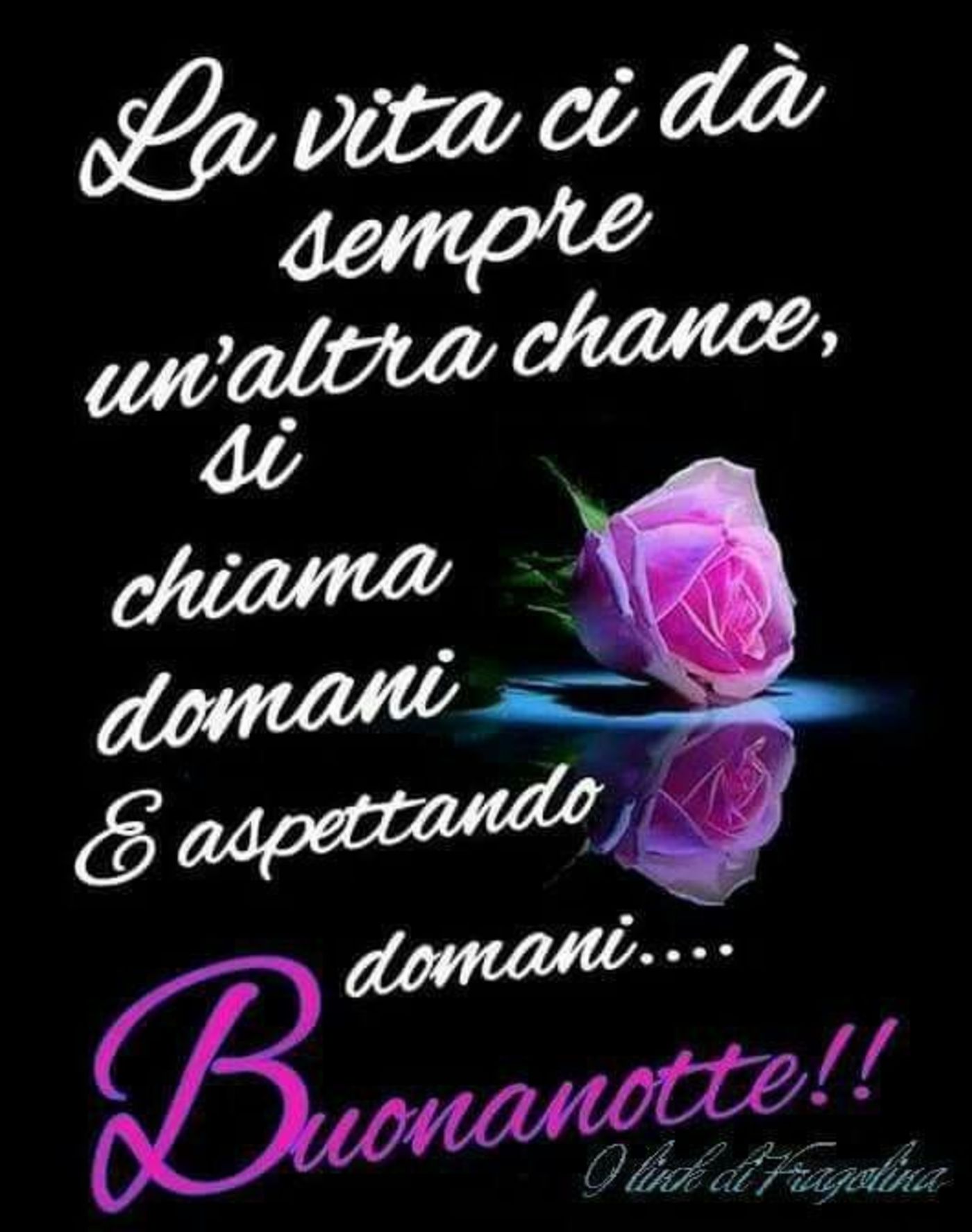 Buonanotte gif WhatsApp 3981
