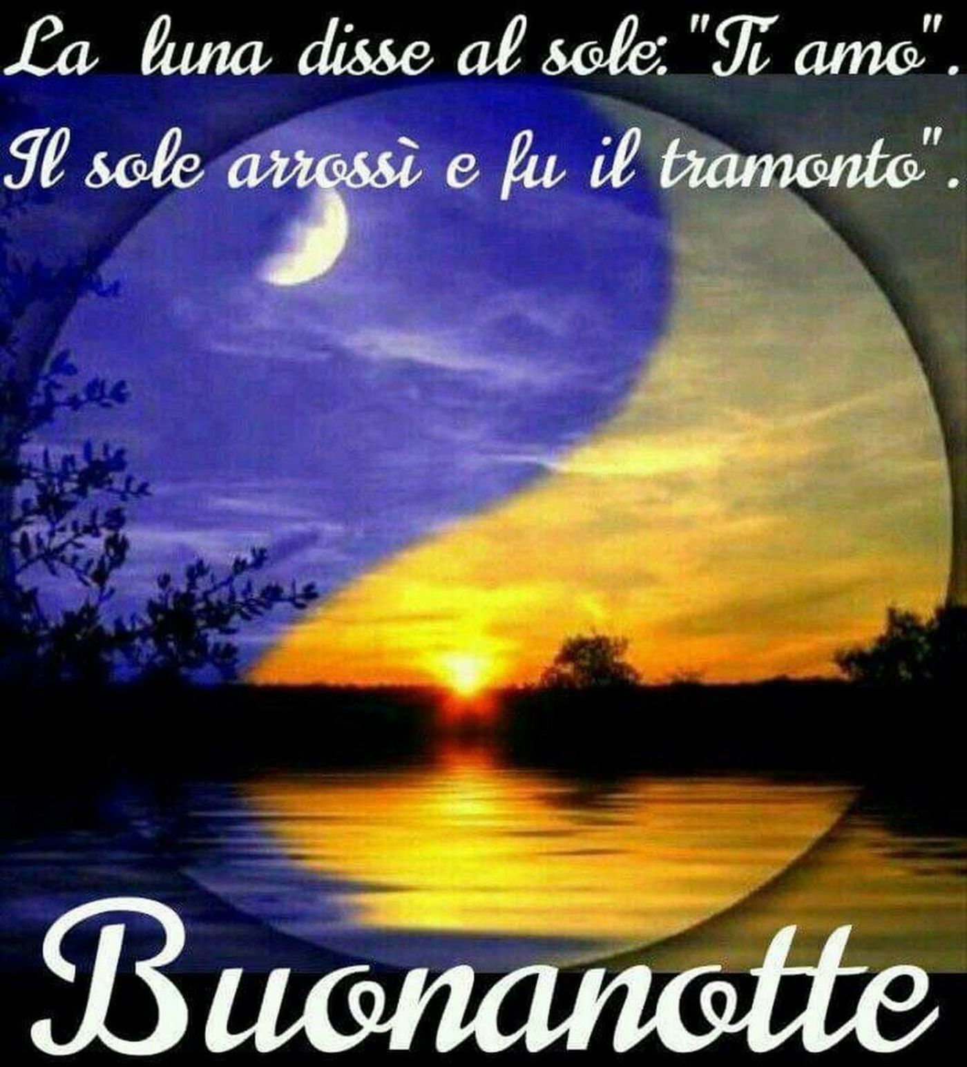 Buonanotte immagini bellissime nuove 539