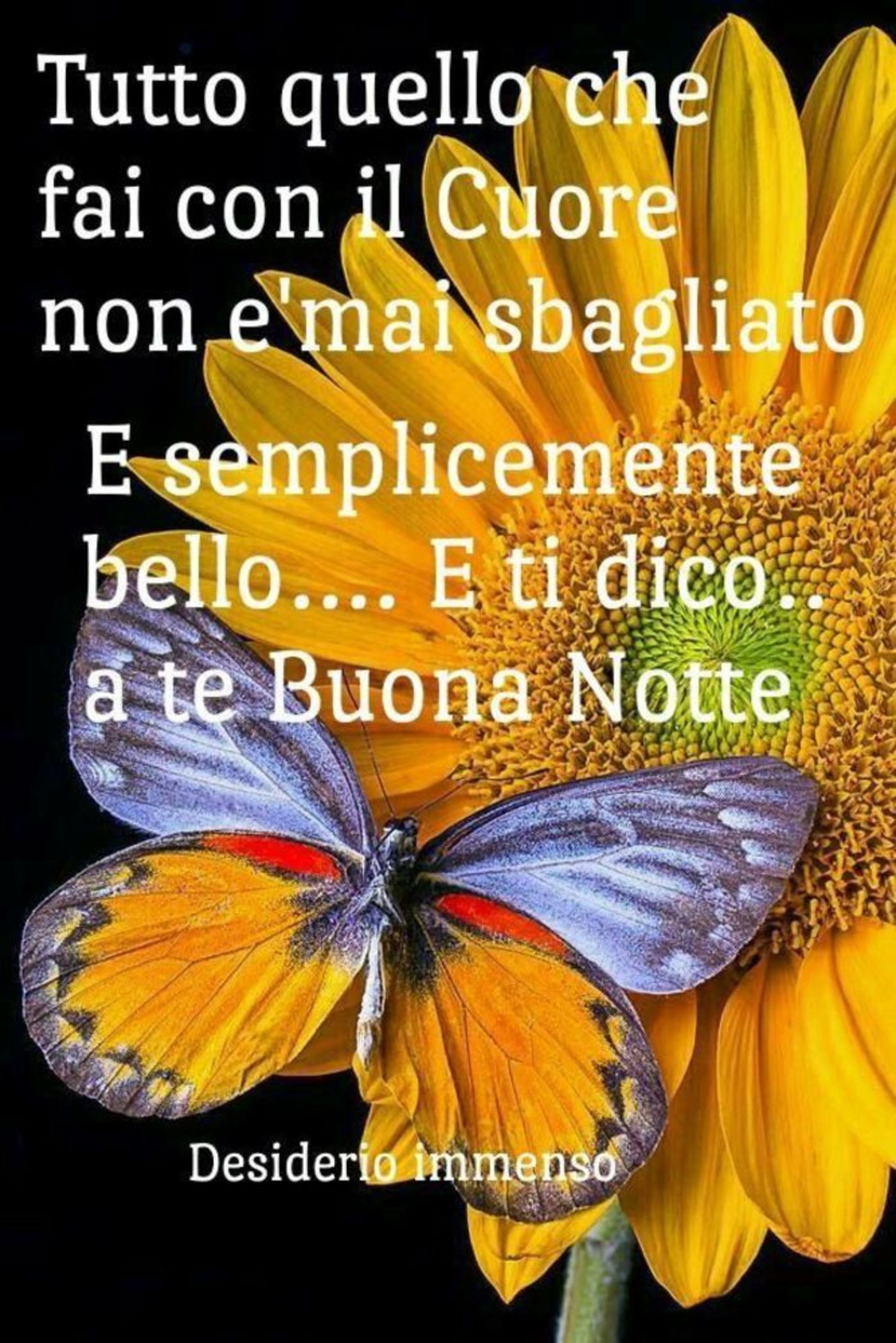 Buonanotte immagini gratis coi fiori 5
