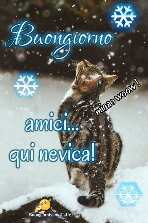 Buongiorno nevica 2