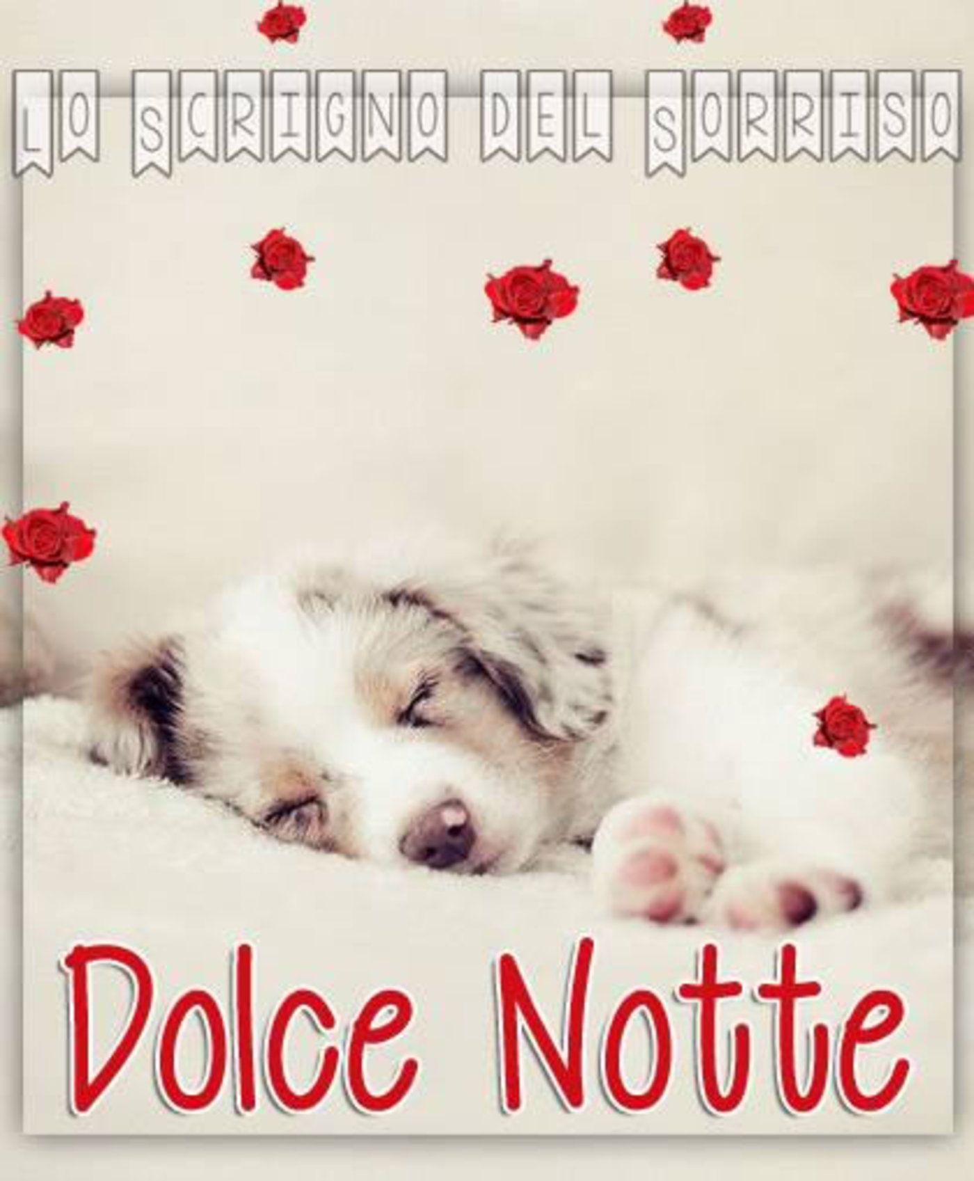 Cartoline per Buonanotte belle 6174