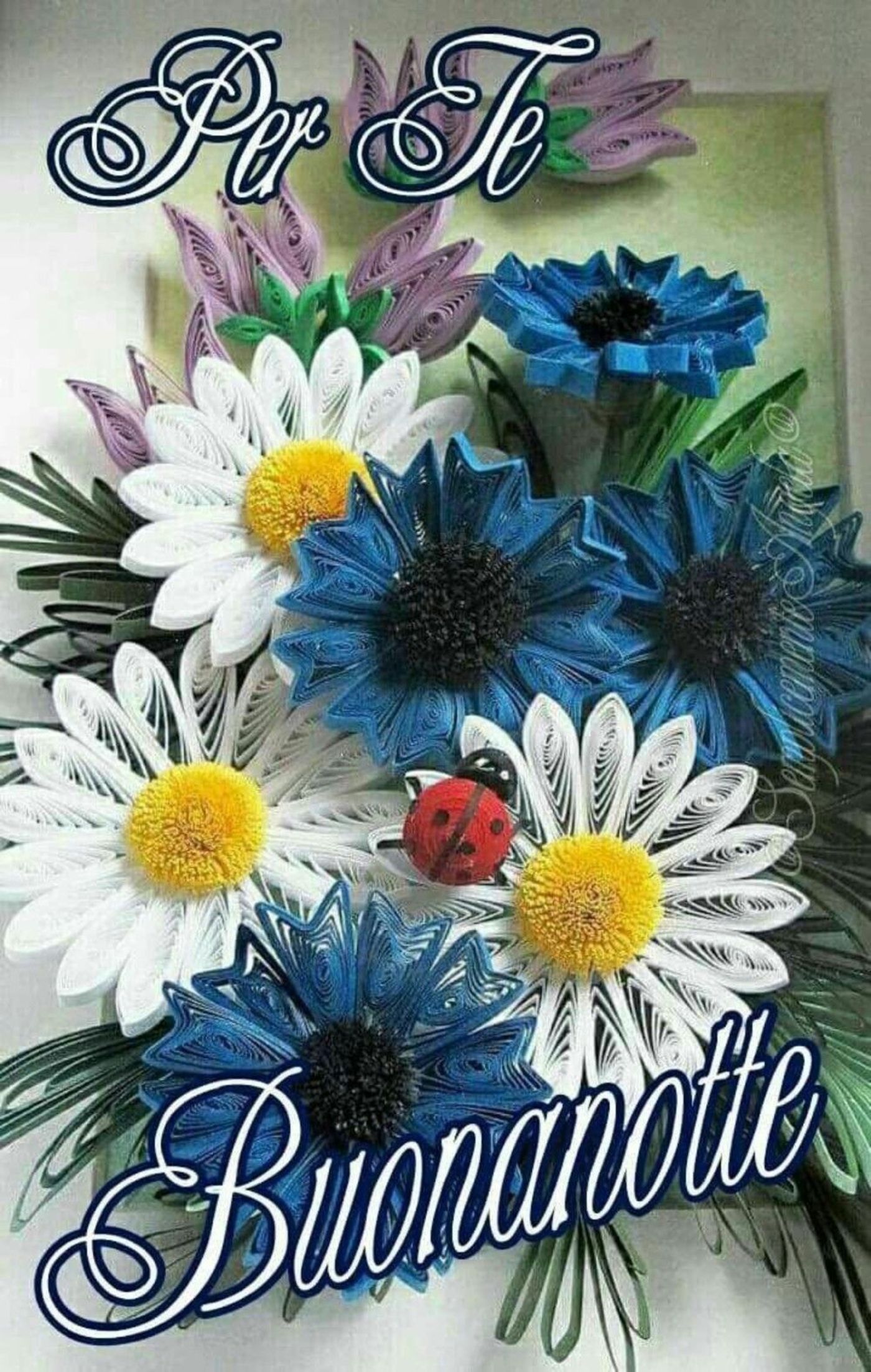 Cartoline per Buonanotte belle 6244