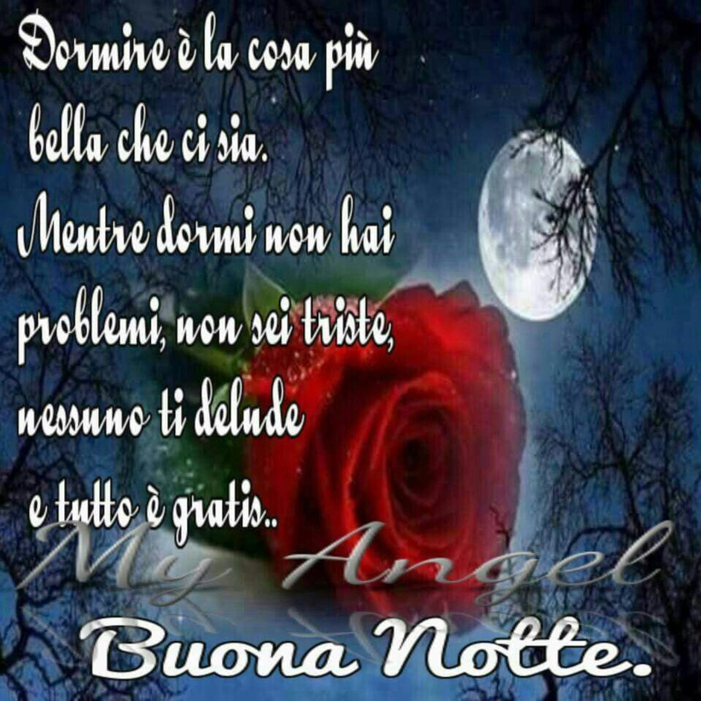 Immagini Buonanotte 2452