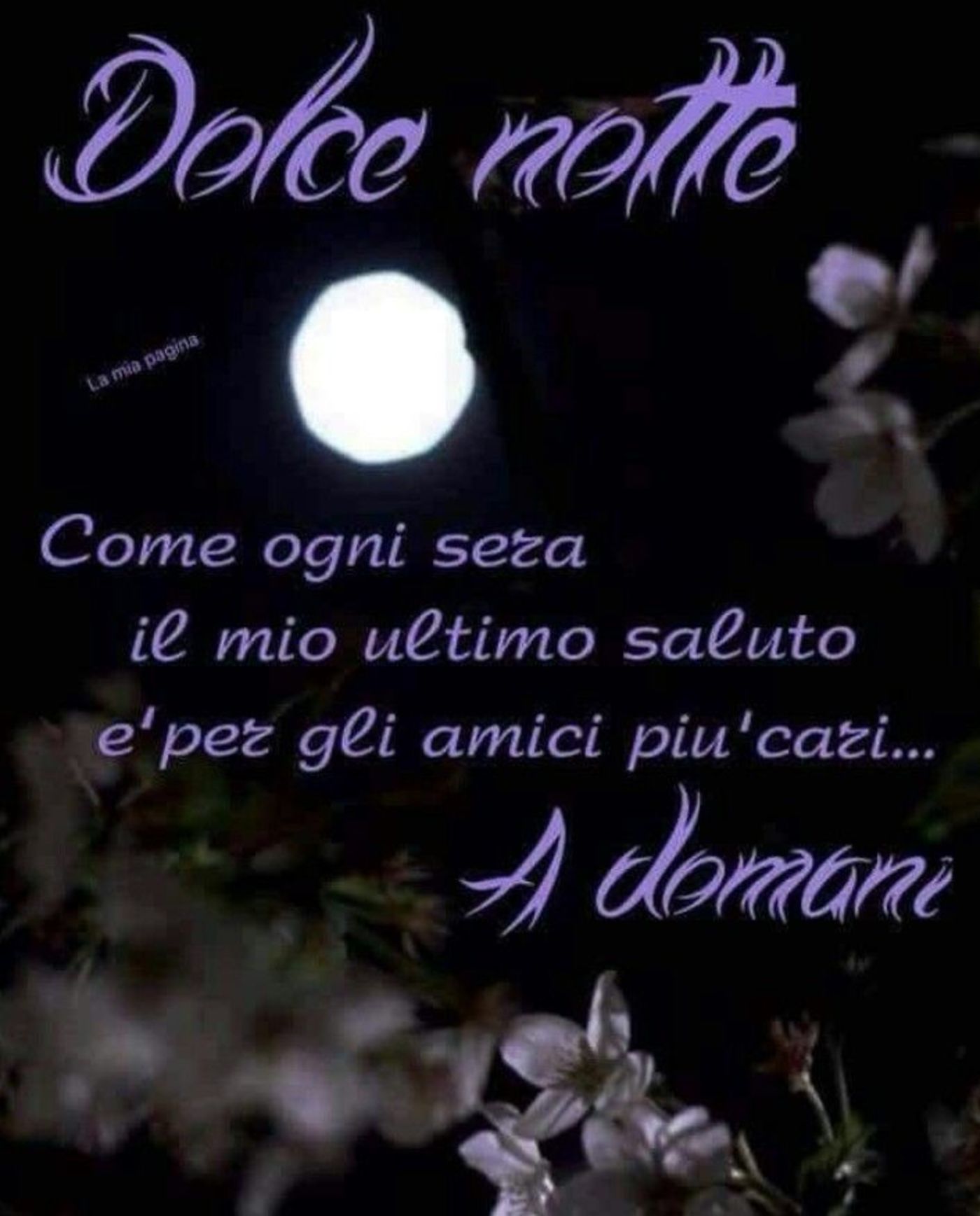 Immagini belle per Buona Nanna 6621