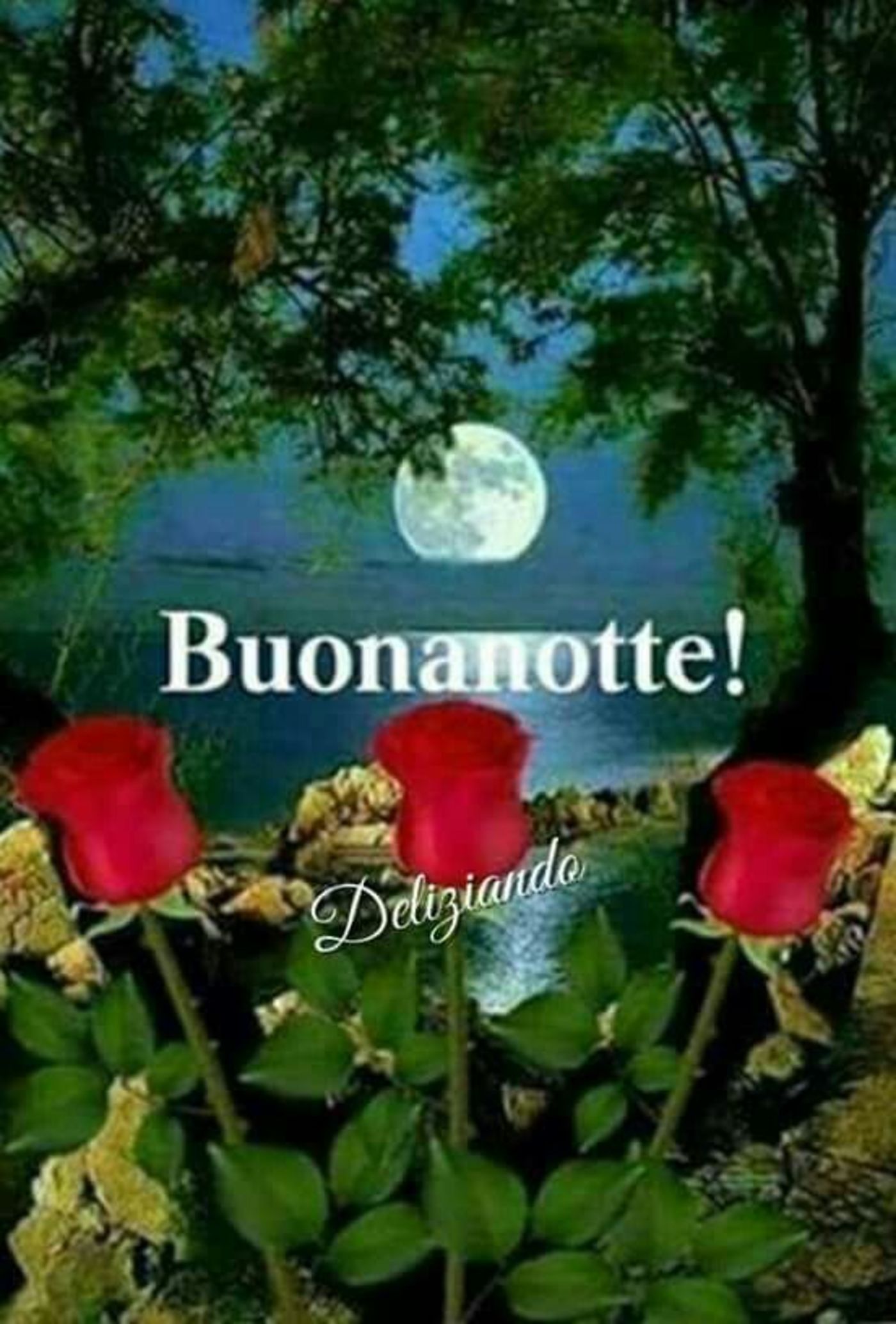 Immagini per Buonanotte Gruppo Facebook 8615