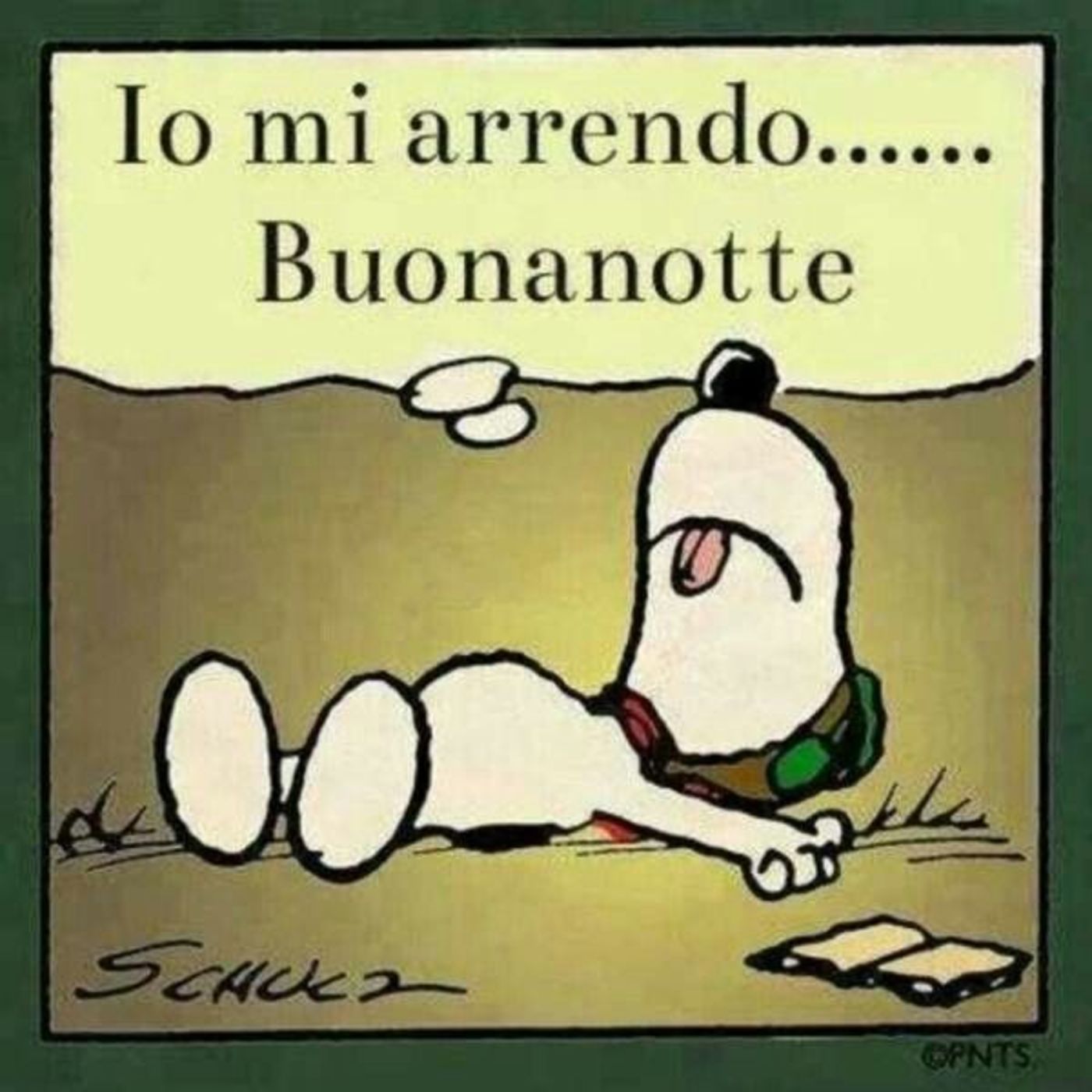 Io mi arrendo Buonanotte