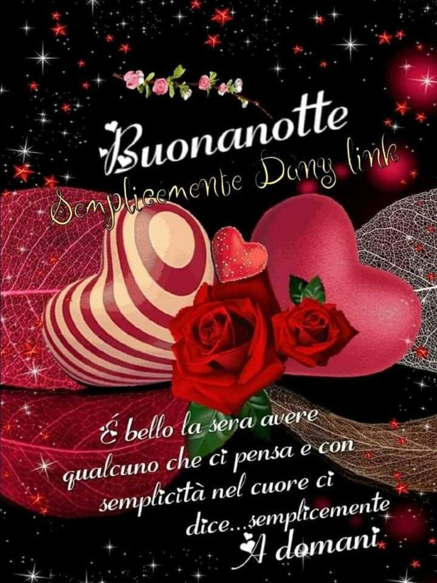 Serena Notte 2743