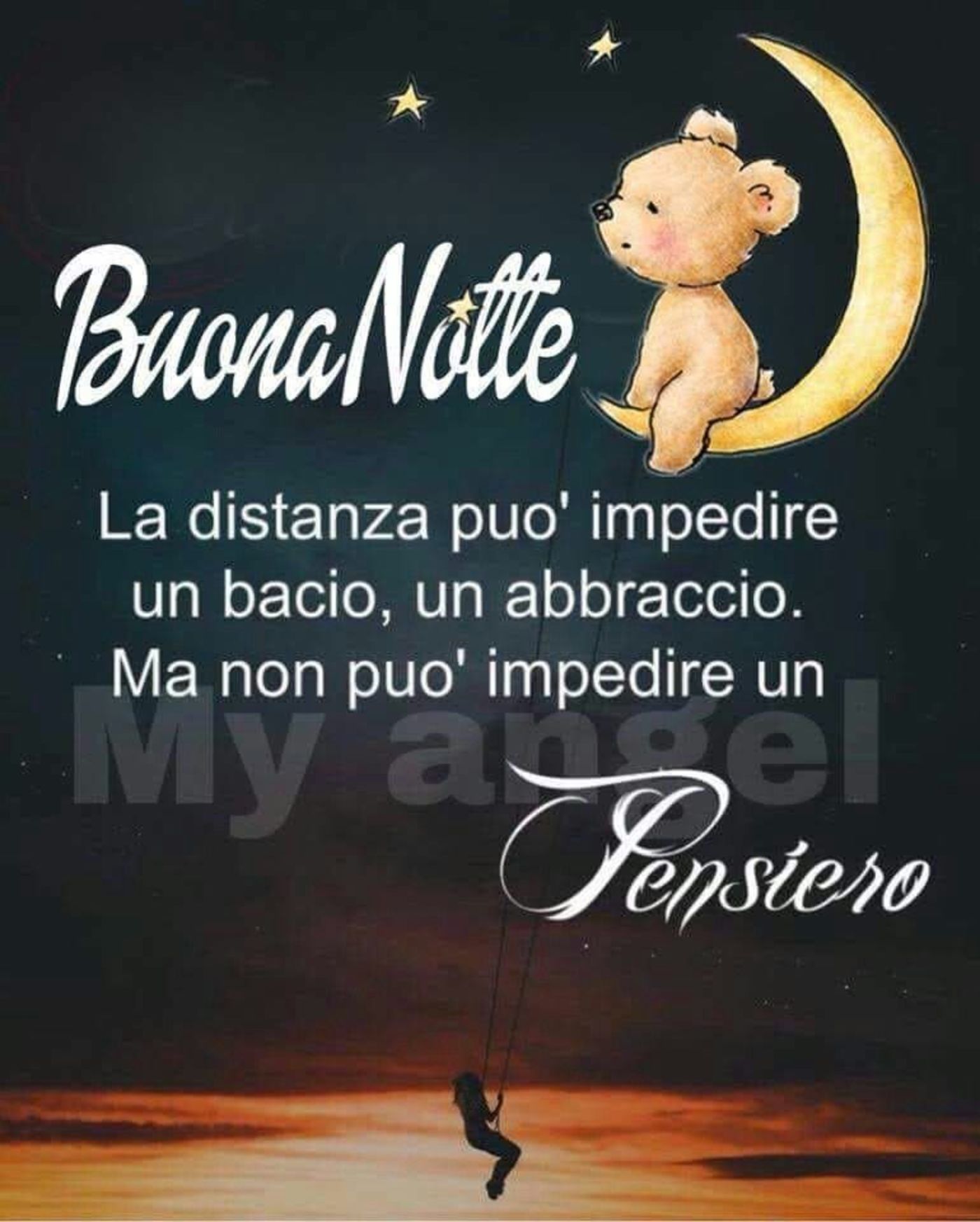 Serena Notte 2782