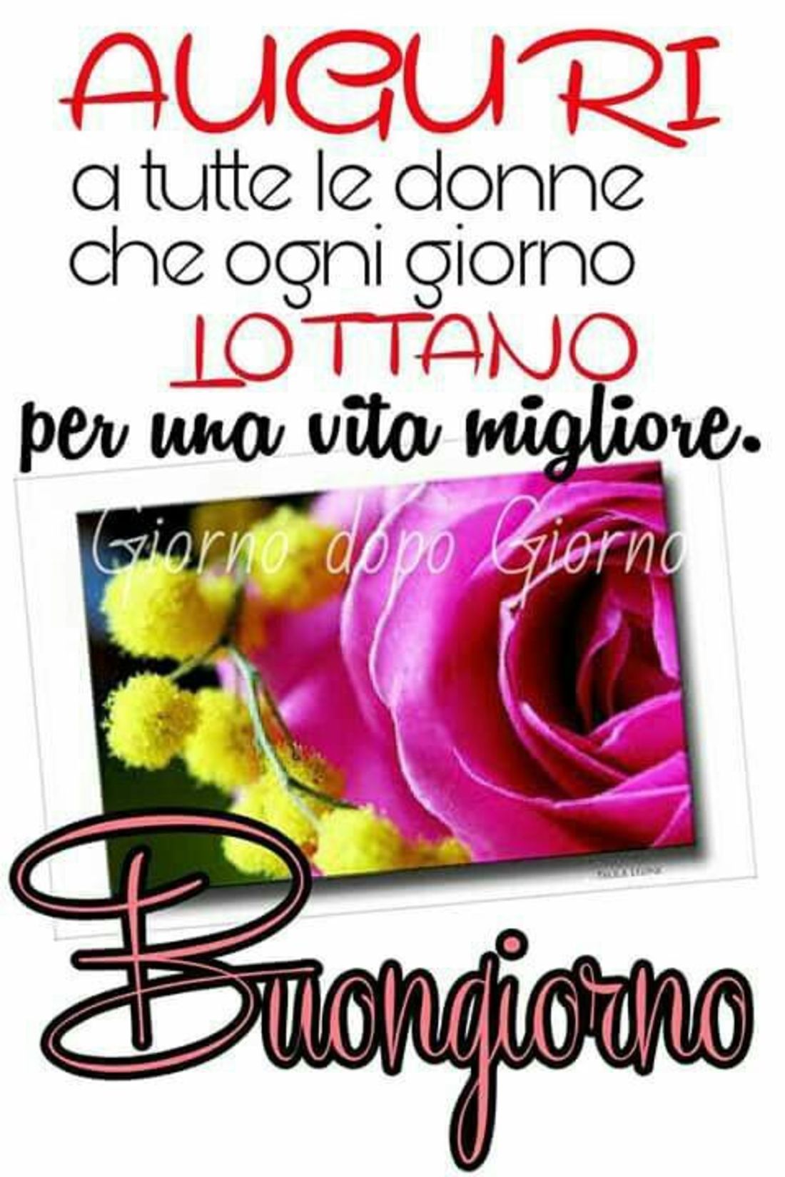 Auguri Festa Della Donna X Whatsapp Buongiornissimocaffe It