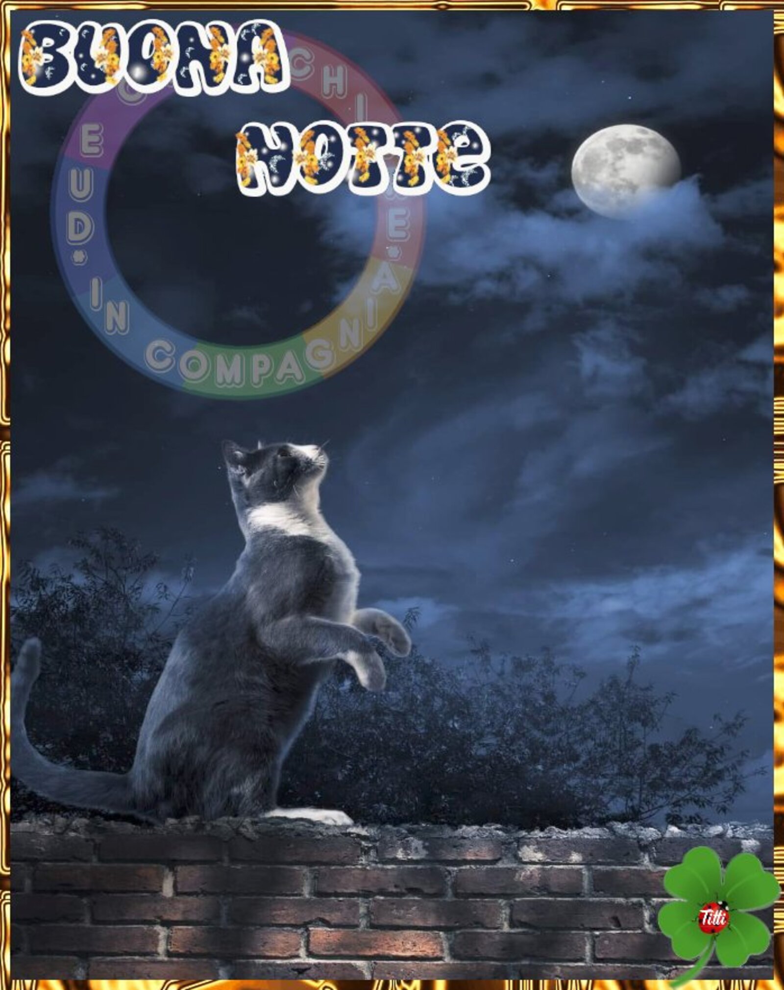 Buona Notte il gatto guarda la luna piena