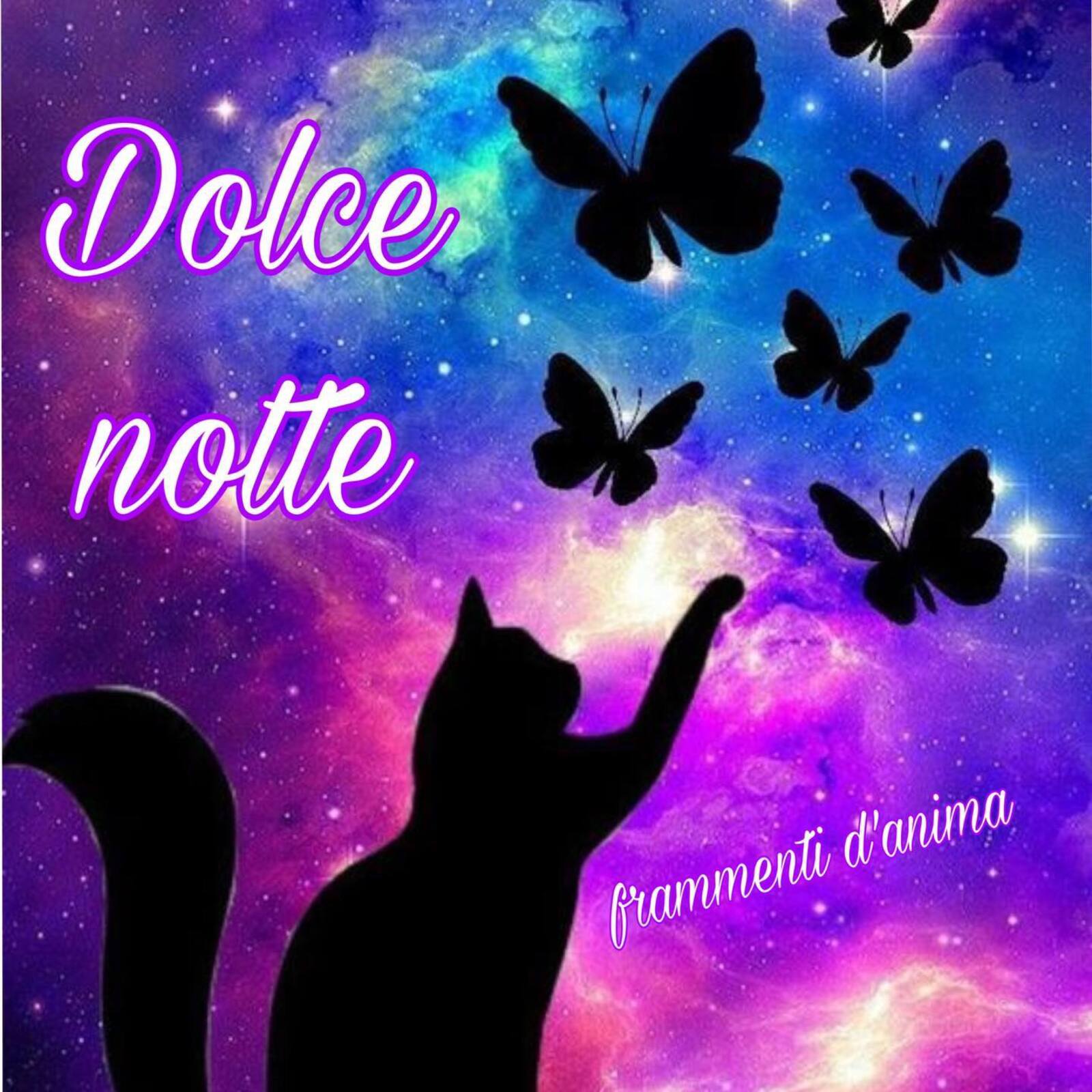 Magica Dolce Notte